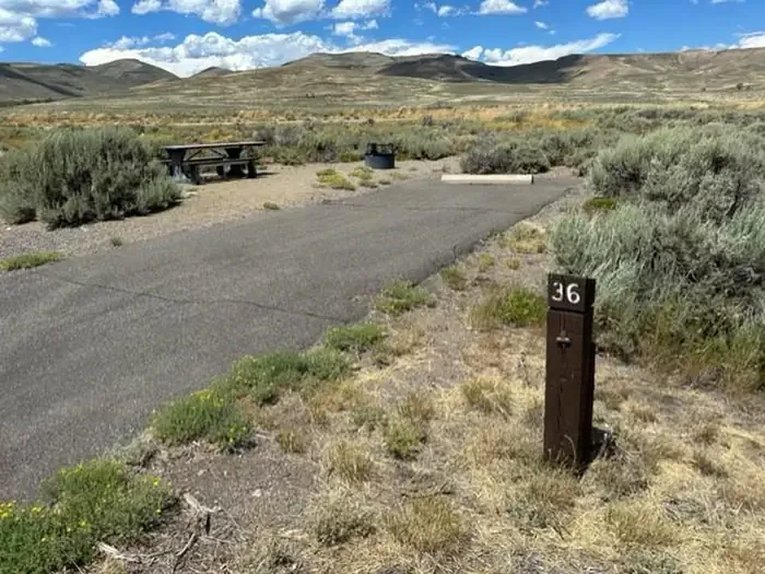 B36