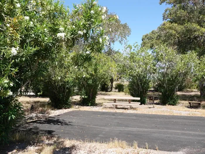Site 25