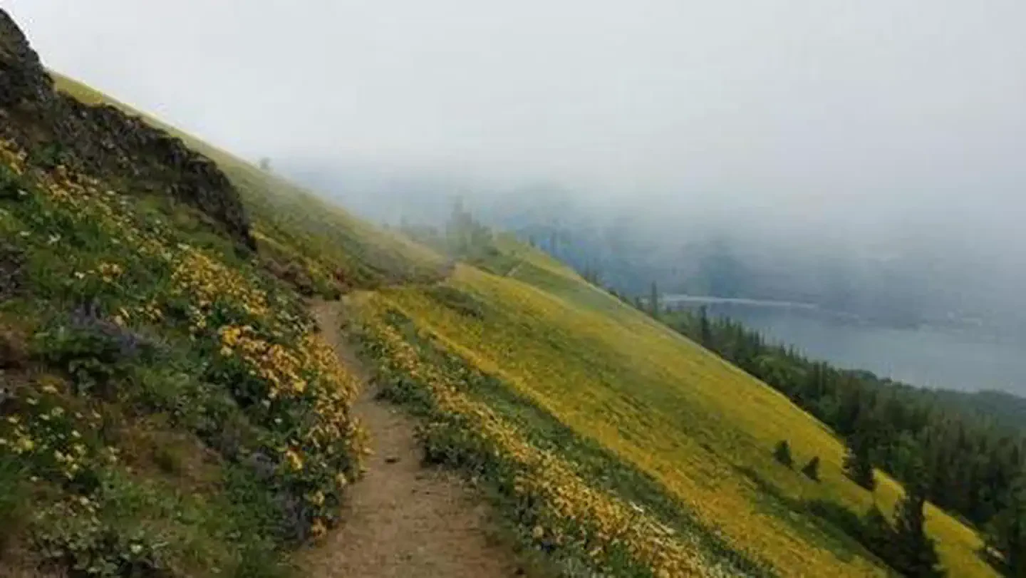 Dog Mountain Trail System Permits