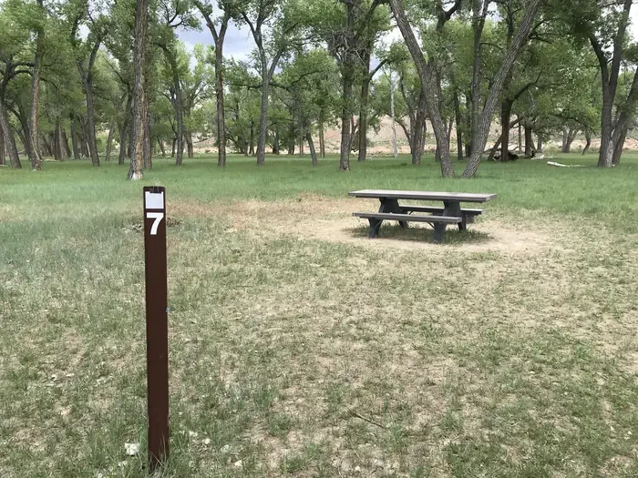 7