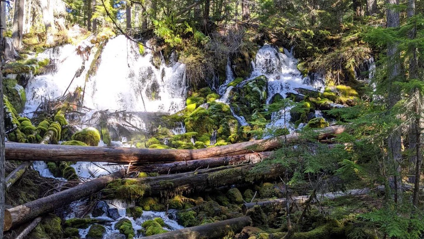 Clearwater Falls Campground