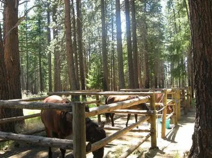 Sheep Springs Horse Camp