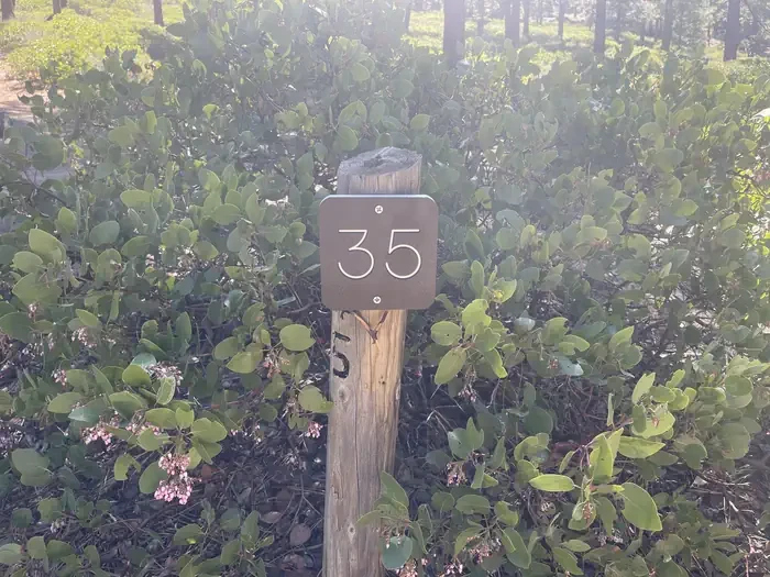 35