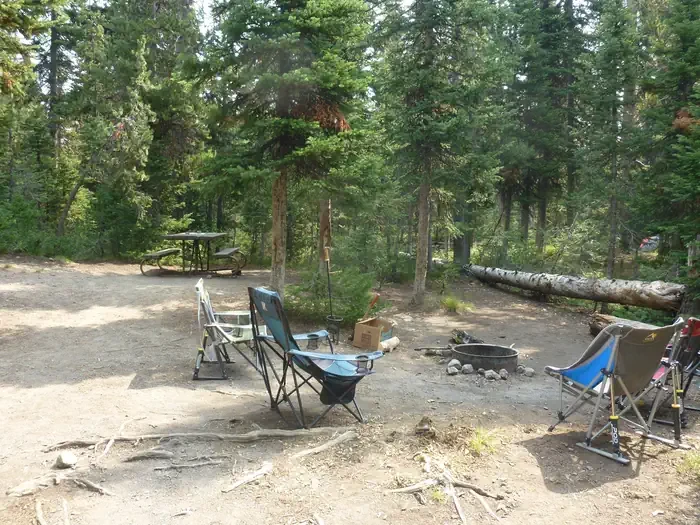 Lewis Lake site #44