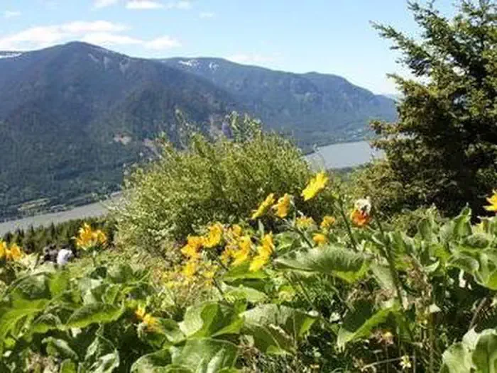 Dog Mountain Trail System Permits