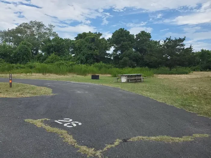 B26
