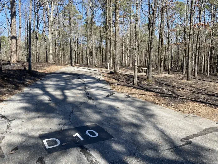 D10