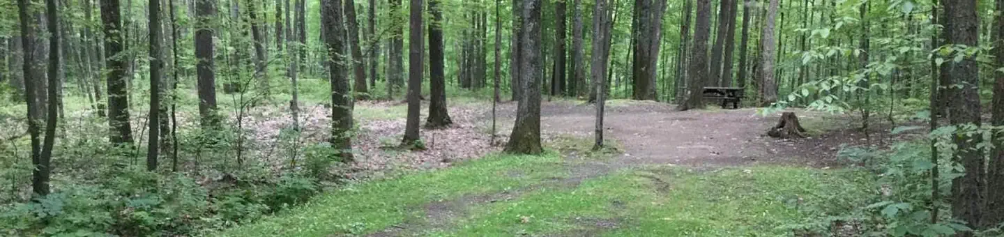 116