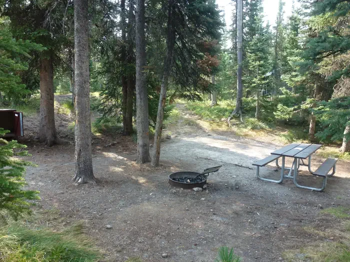 Lewis Lake site #61