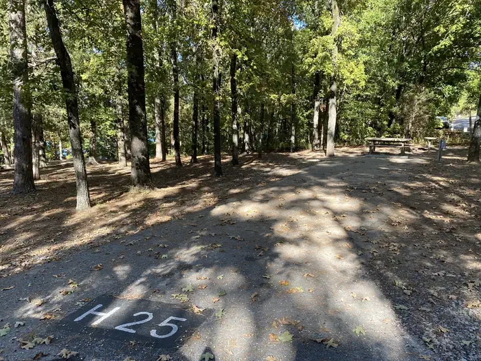 H25