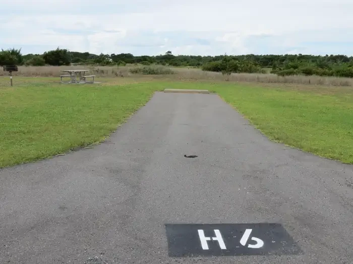 H006