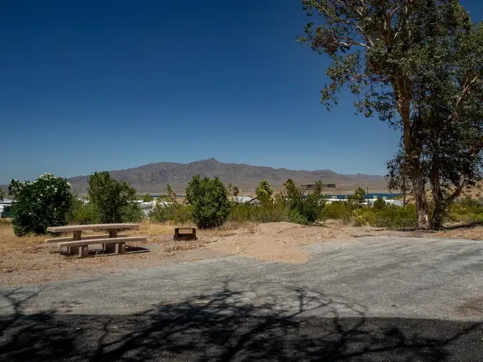 Site 39