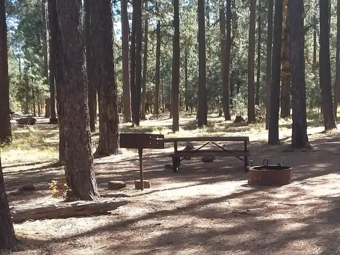 097