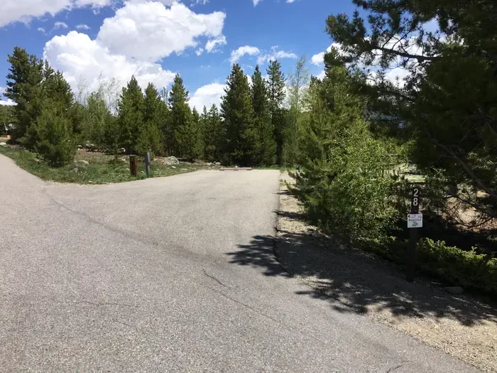 C28