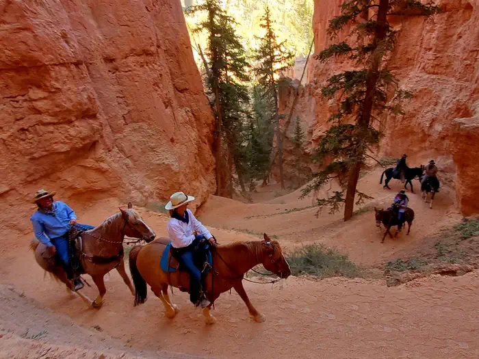 Bryce Canyon National Park Private Horse Reservations