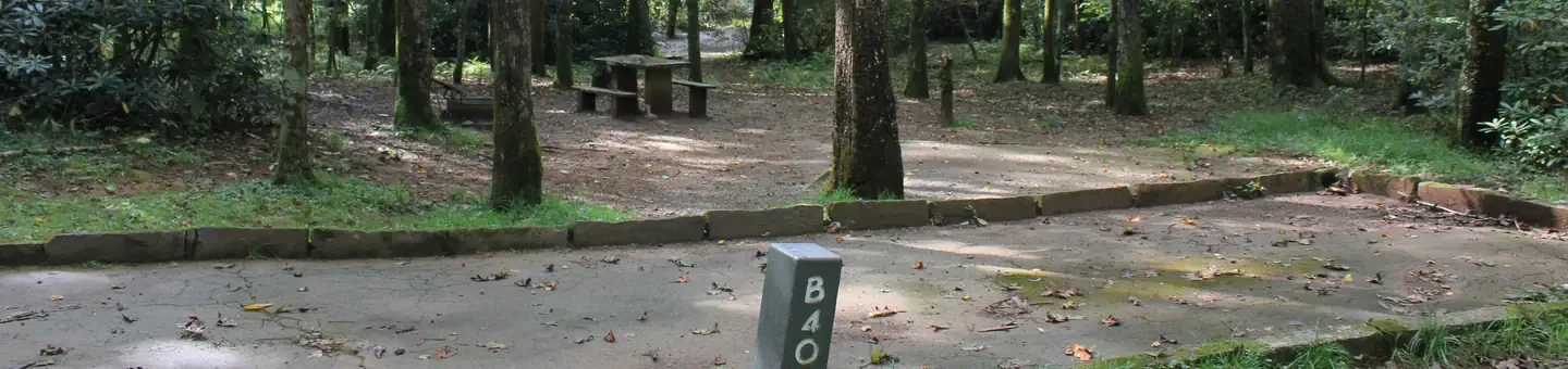 B40