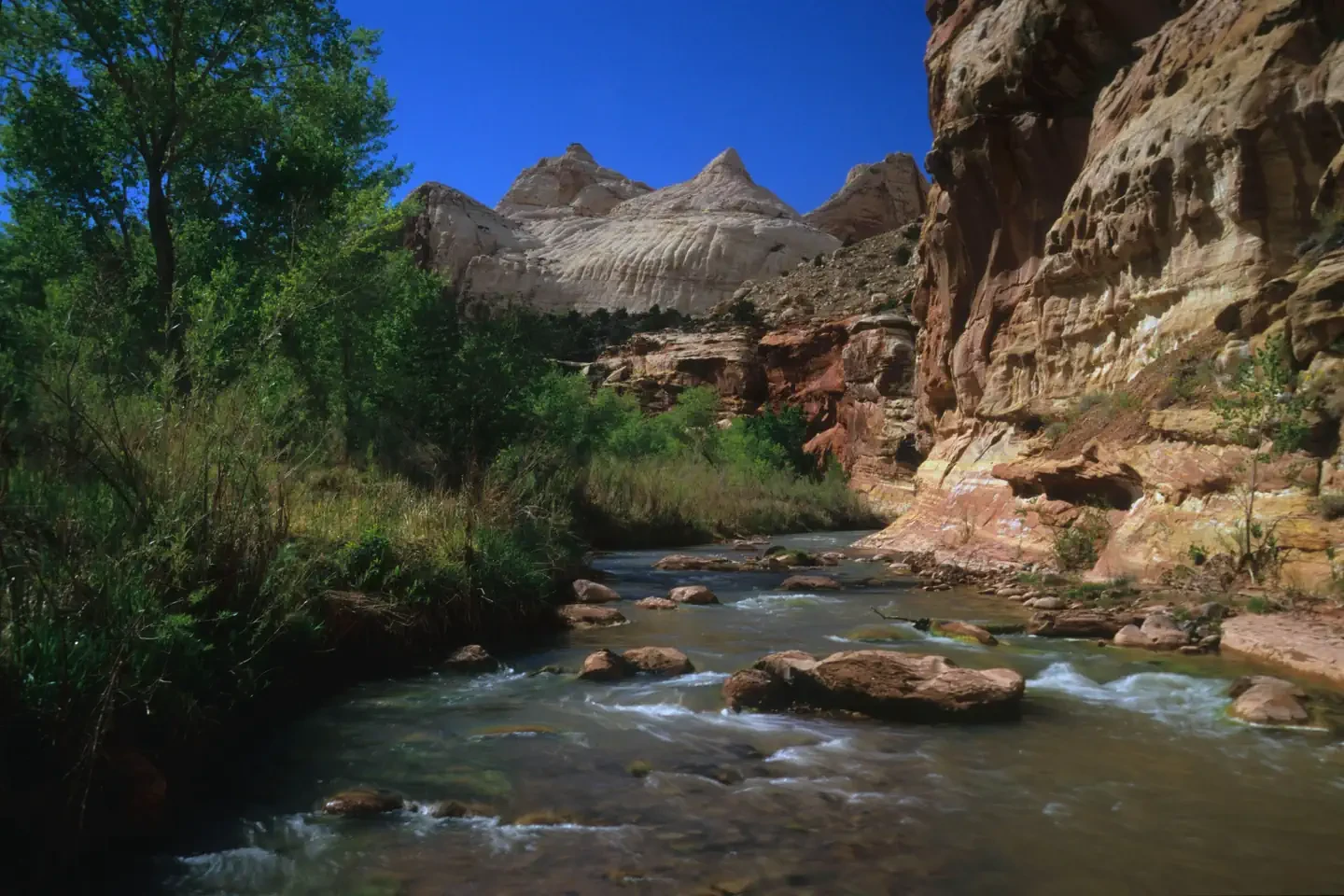 Fruita Campground