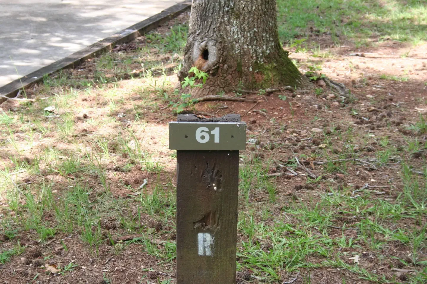 061