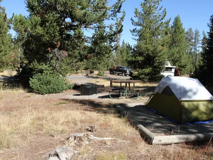 Indian Creek site #66
