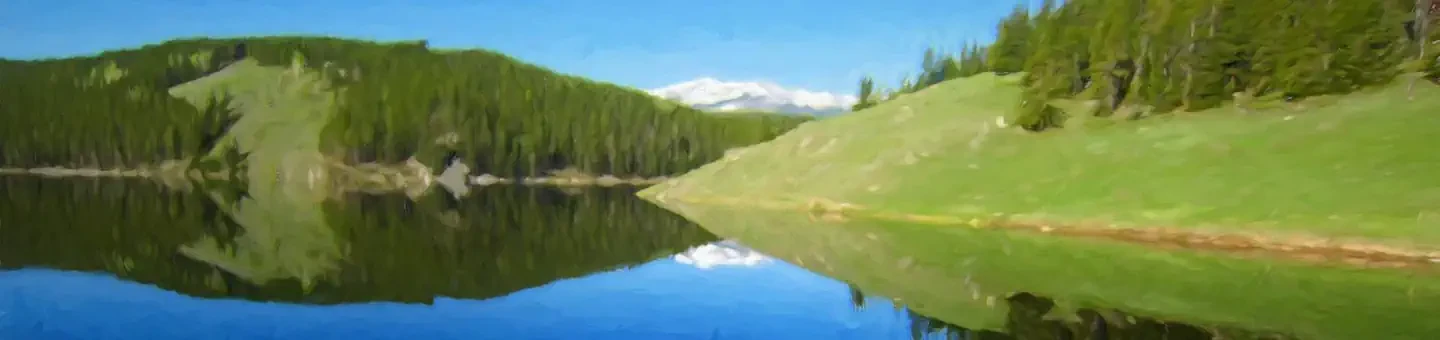 005