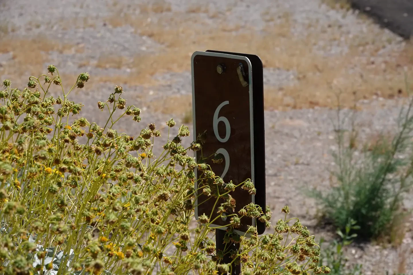 Site 62