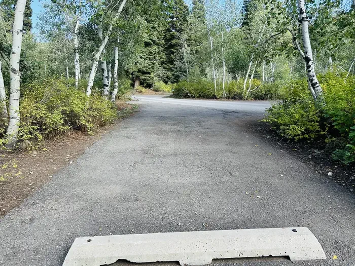 B32