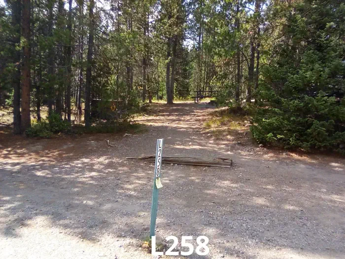 258