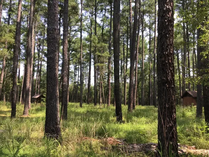 Poulous Group Campground