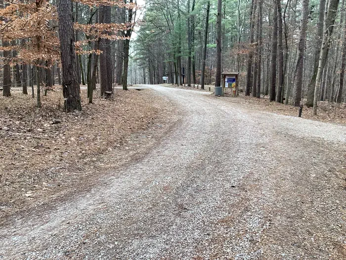 Saddle Lake Campground