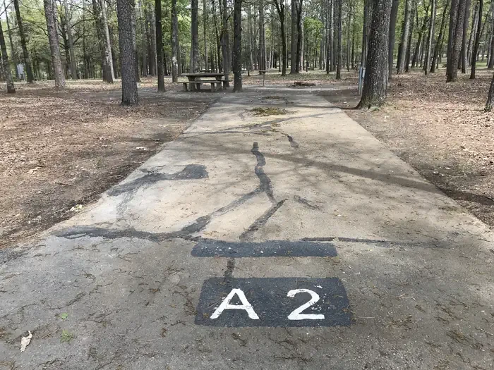 A02