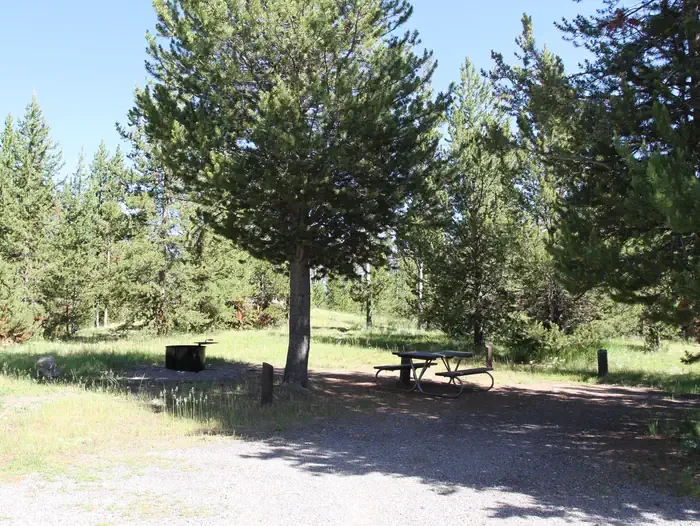 Indian Creek site #12