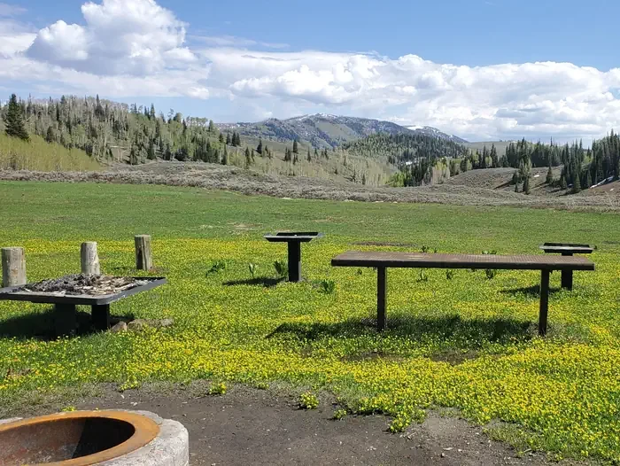 Lake Canyon Rec Area