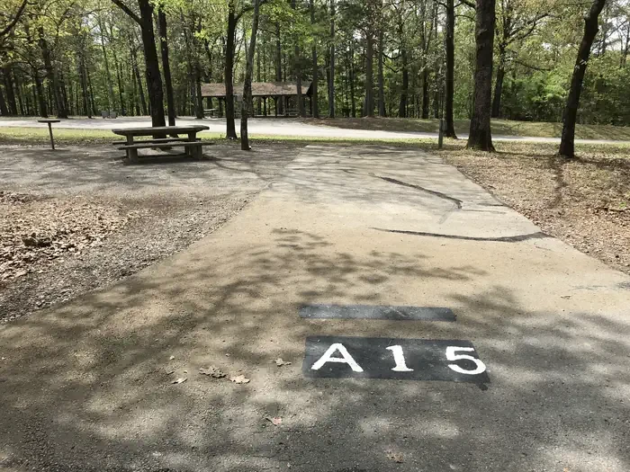 A15