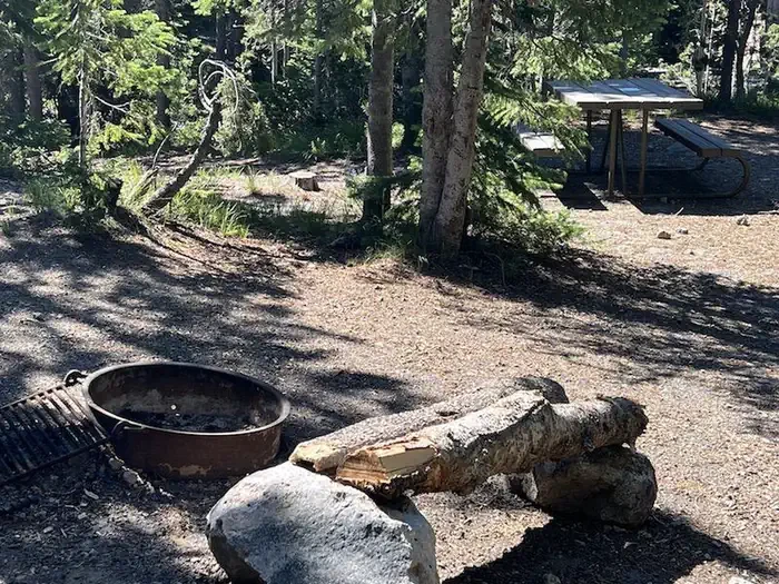 Lewis Lake site #83