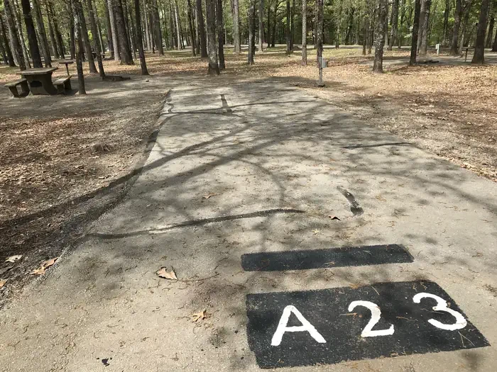 A23