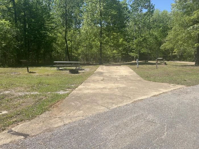 Site 54