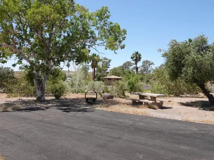 Site 61