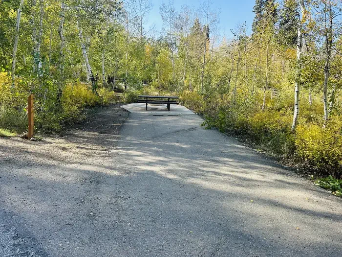 A19