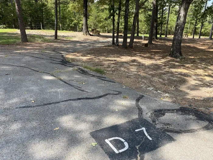 D07