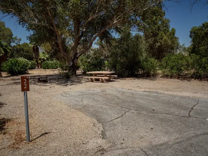 Site 22