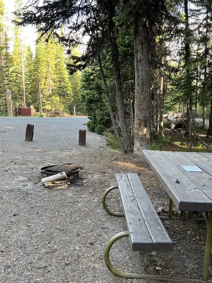 Lewis Lake site #38