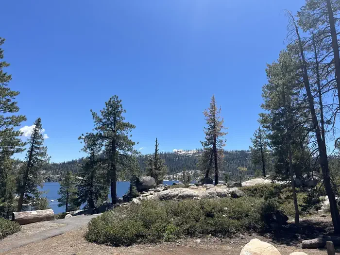 Group Site