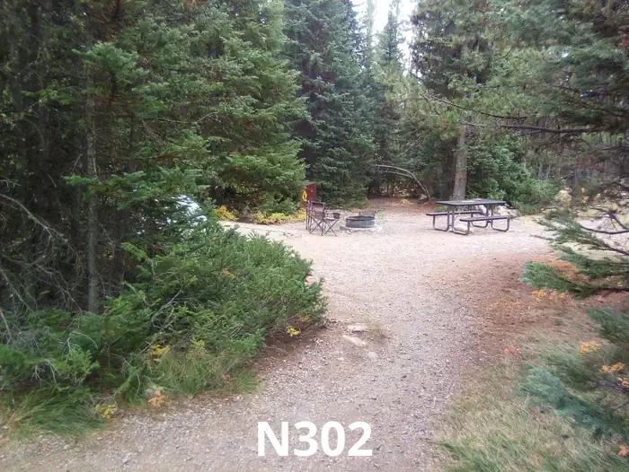 302