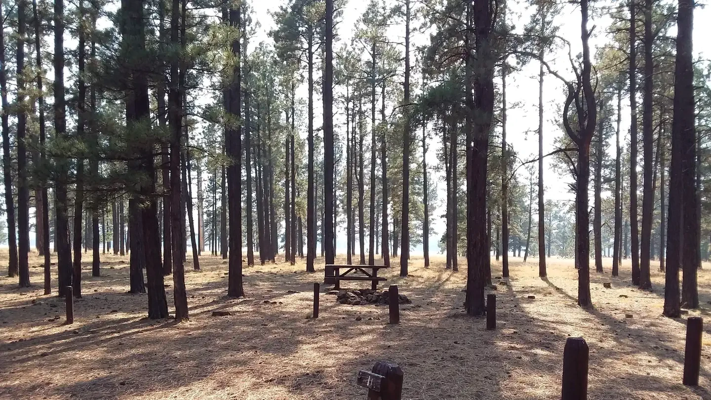 Benny Creek Group Area