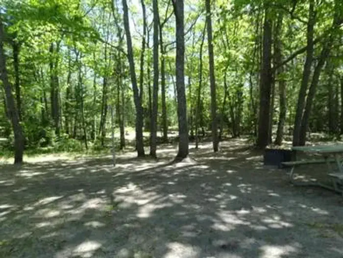Bay View (Hiawatha National Forest, MI)