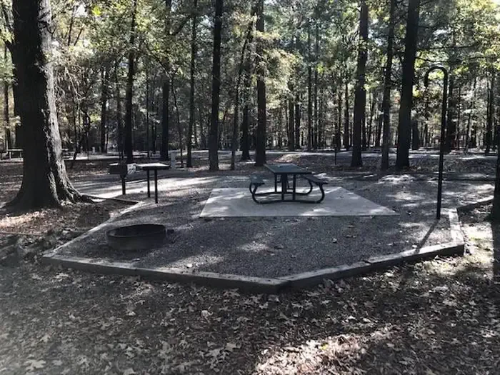 P018