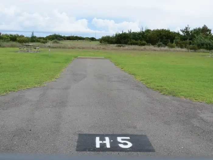 H005