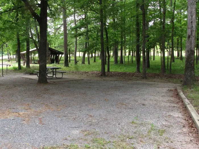 Site 11