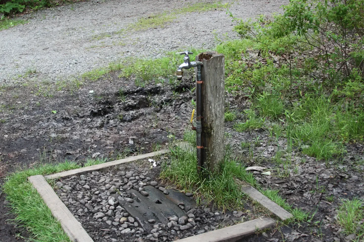 Blackwoods Campground