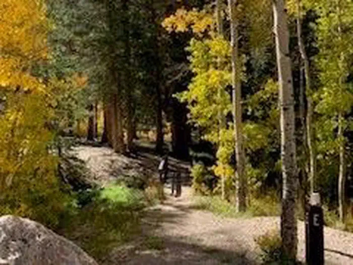 Timber Creek Campground